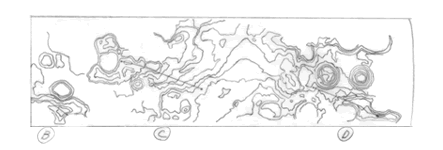 ANALYSIS OF THE ORDER AND THE NUMBER OF THE ACCUMULATION