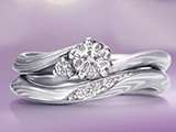 �D�y�@PROPOSE