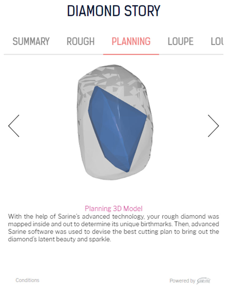 「サリネ社 SARINE DIAMOND JOURNEY プログラム」の原石からどのようにカッティングされたか(3D Model)