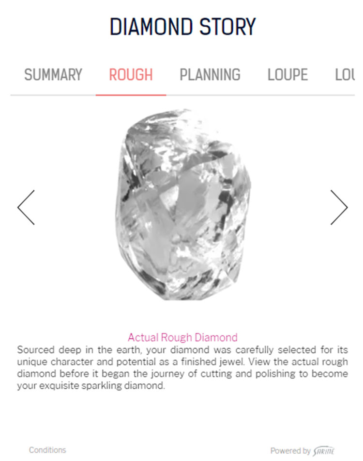 「サリネ社 SARINE DIAMOND JOURNEY プログラム」のダイヤモンド原石の形状