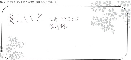 2010503木目金の結婚指輪と婚約指輪A_005.jpg