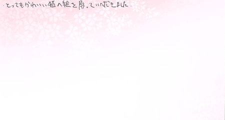 25091803木目金の結婚指輪J005.jpg