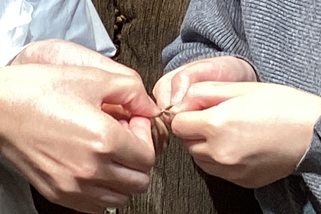 26051209木目金の結婚指輪Z002.JPG