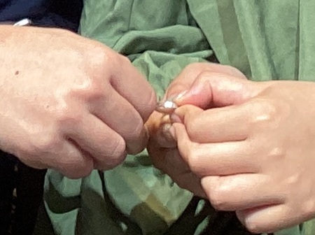26051210木目金の結婚指輪Z002.JPG