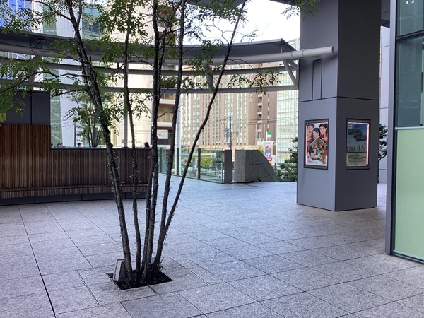 251121杢目金屋OM00 (8).JPG