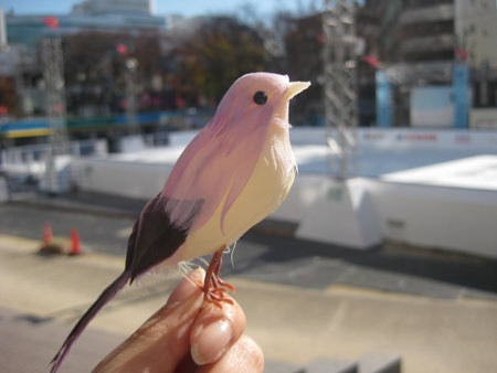 101210木目金の結婚指輪001.jpg