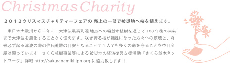 2012X＿ｃｈａｒｉｔｙ.jpg