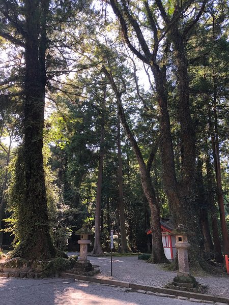 2019.10.10_大分県_宇佐神社_006.jpg