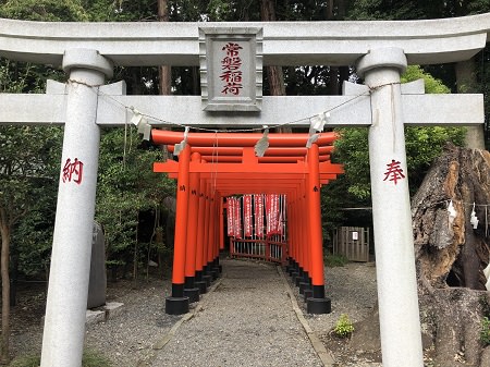 2019.10.8_茨城県_常盤神社_006.JPG