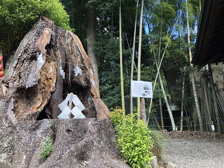 2019.10.8_茨城県_常盤神社_007.JPG