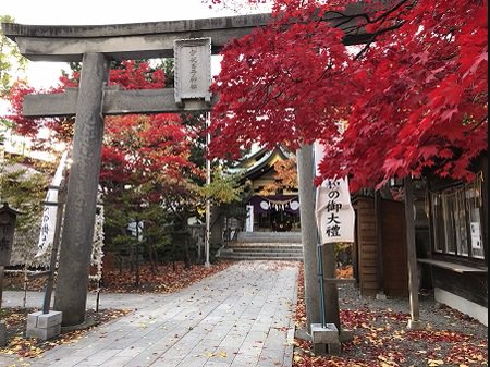 2019.11.05_北海道_弥彦神社_003.jpg