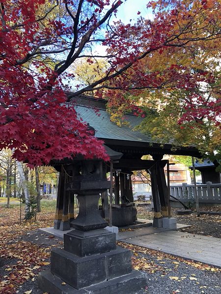 2019.11.05_北海道_弥彦神社_004.jpg