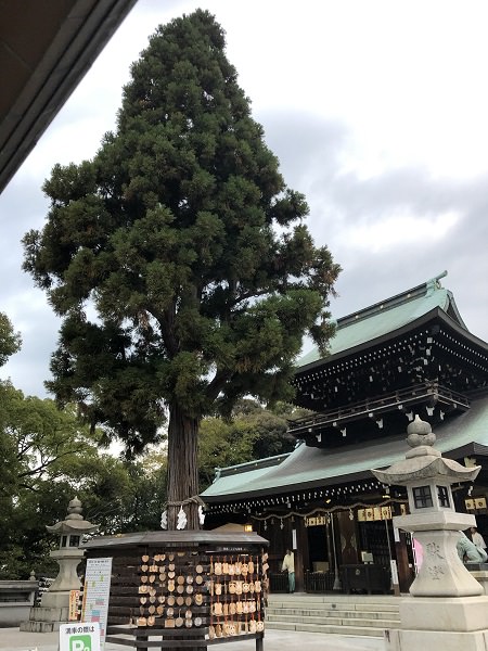 2019.11.14_山口県_遠石神社_004.jpg