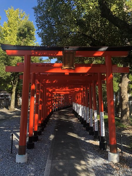 2019.11.14_岐阜県_八幡神社_006.jpg