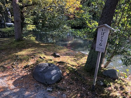 2019.11.26_石川県_金澤神社_005.JPG