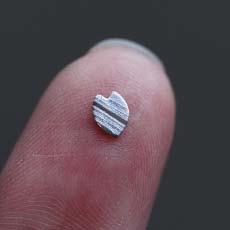 指先に収まるほど小さな花びら