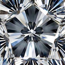 指先に収まるほど小さな花びら