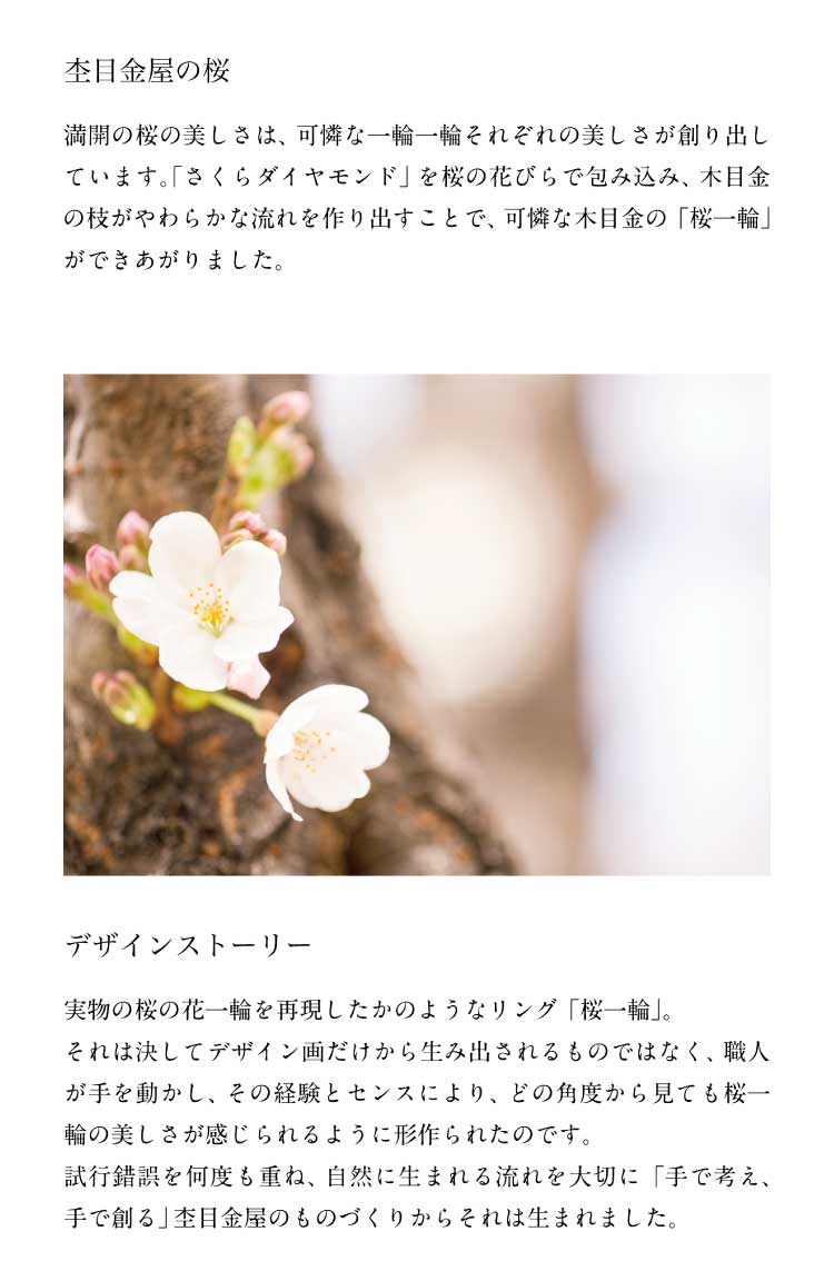 婚約指輪 桜一輪 結婚指輪 婚約指輪の杢目金屋 婚約指輪 桜一輪 結婚指輪 婚約指輪の杢目金屋